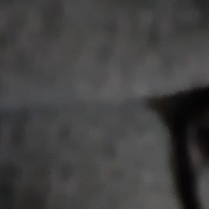 Meet your Posher, Monique